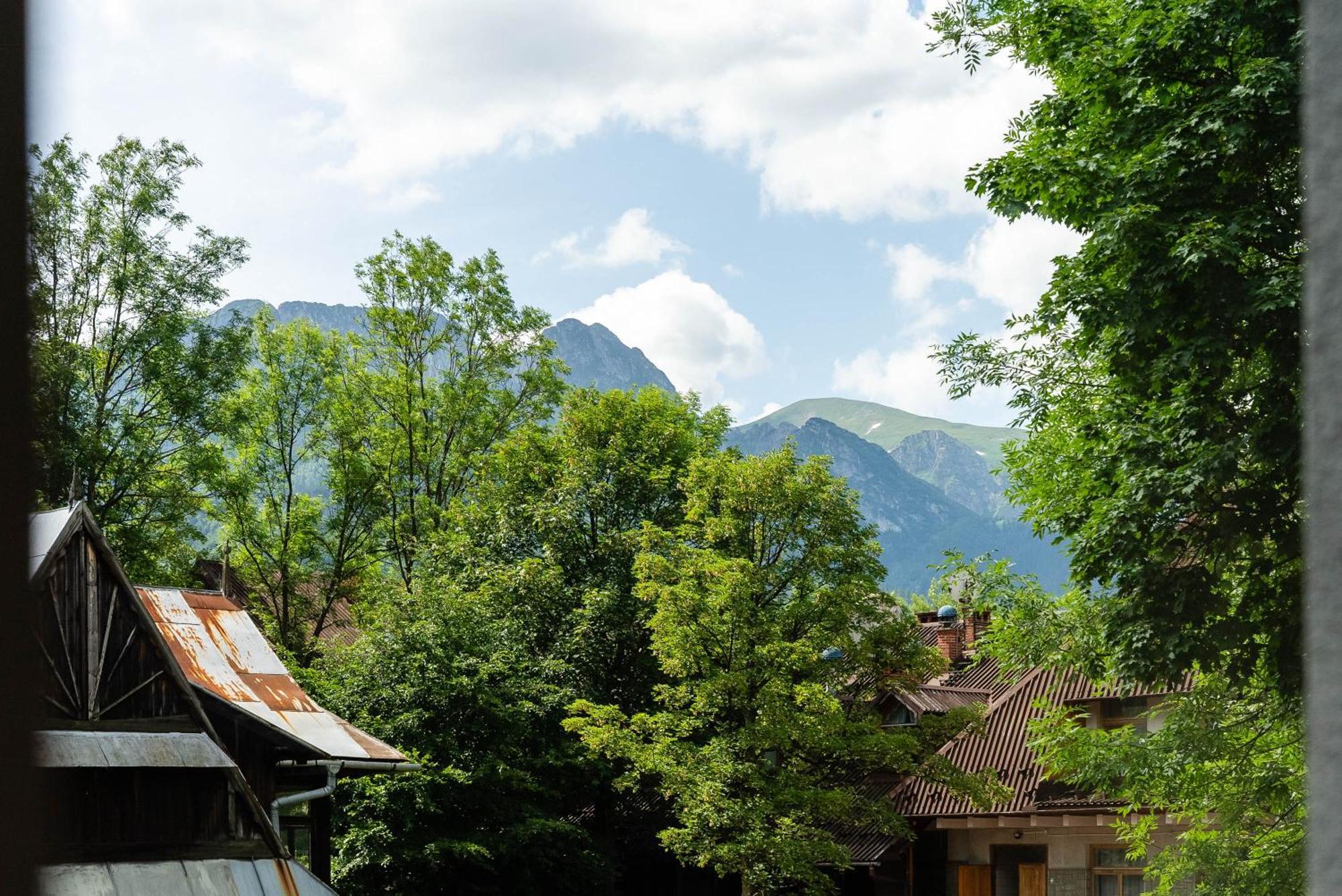 Villa Monte Zakopane Dış mekan fotoğraf